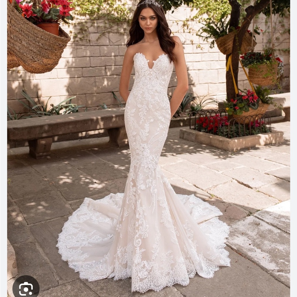 Pronovias Aegir wedding dress